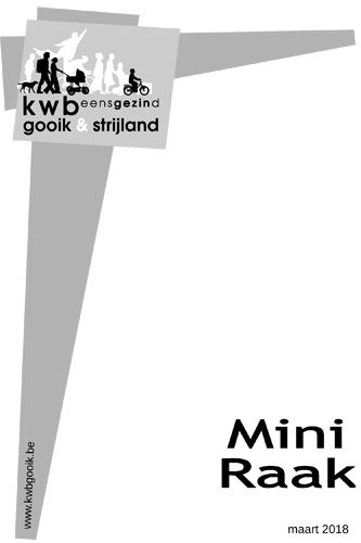Kaft van Mini Raak 201803